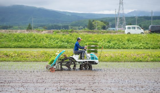 30代、農業にチャレンジ。